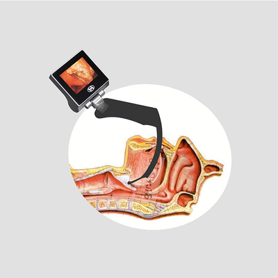 Laringoscópio video flexível de aço inoxidável USB 32GB de 316 Haiye